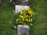 image of grave number 807497